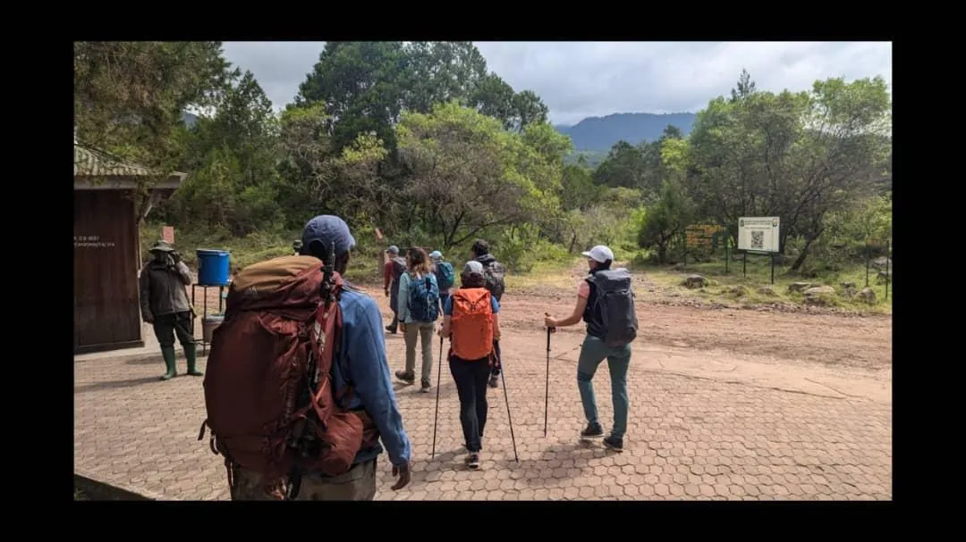 Mount Kilimanjaro trekking landscape